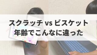 【体験談あり】スクラッチとビスケットの違いを徹底比較｜年齢別おすすめの選び方
