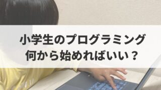 小学生プログラミングの始め方｜何から？失敗しない順番ガイド
